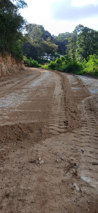 Avance de obra del 25/07/2025 — foto 2